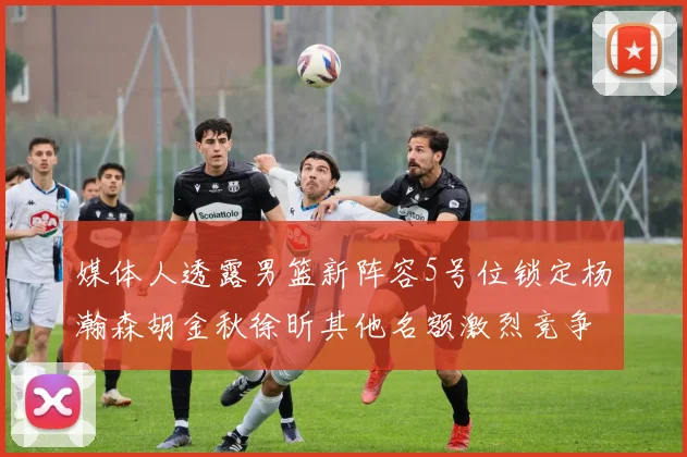 媒体人透露男篮新阵容5号位锁定杨瀚森胡金秋徐昕其他名额激烈竞争
