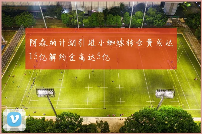 阿森纳计划引进小蜘蛛转会费或达15亿解约金高达5亿